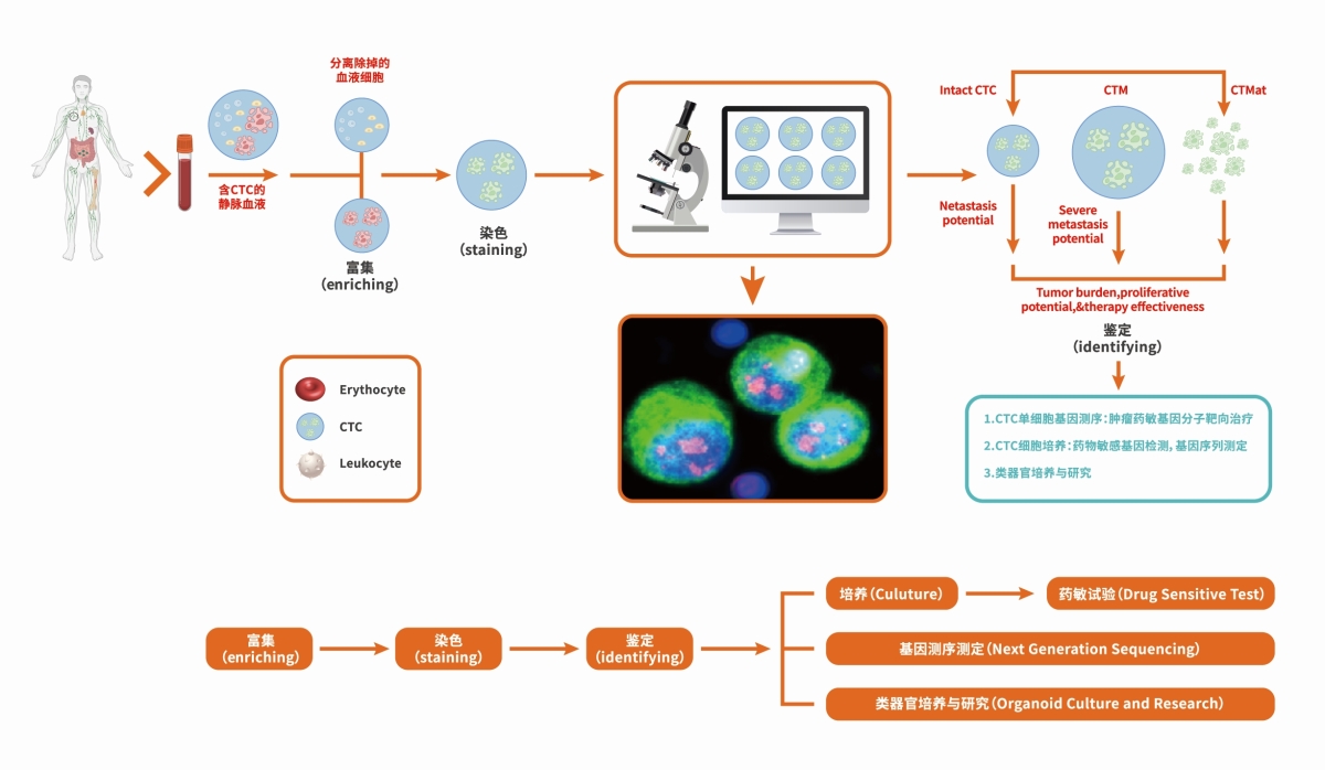 CTC手艺蹊径 CTC手艺蹊径.jpg