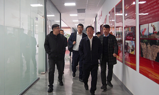 ȫ����Ұ���������������ж���