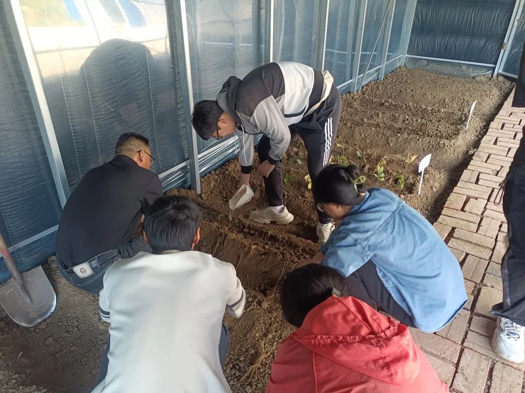 微信图片_20240627170036 微信图片_20240627170036.jpg