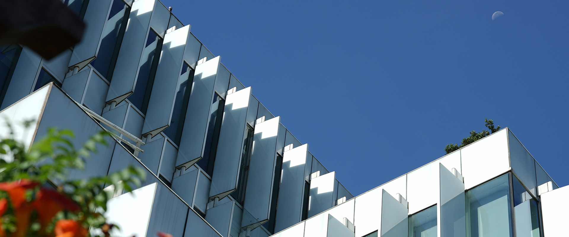 pg�ͽ�Ů��(�ٷ�)����IOS/��׿��/�ֻ���APP����