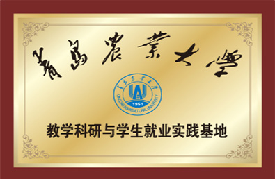 pg�ͽ�Ů��(�ٷ�)����IOS/��׿��/�ֻ���APP����