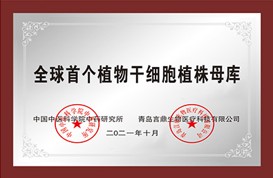 pg�ͽ�Ů��(�ٷ�)����IOS/��׿��/�ֻ���APP����