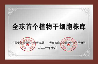 pg�ͽ�Ů��(�ٷ�)����IOS/��׿��/�ֻ���APP����